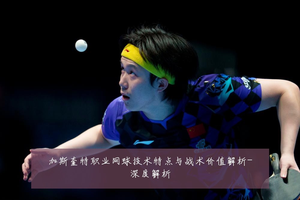 加斯奎特职业网球技术特点与战术价值解析-深度解析